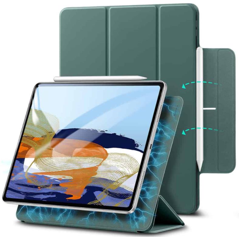 iPad Pro 11 Magnetische Schlank-Hülle