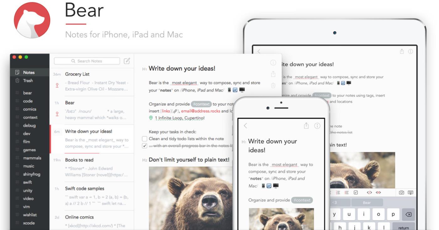 Bear App für Notizen für das iPad